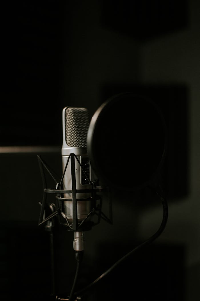 Studio microphone with pop filter in a dimly lit recording setup.